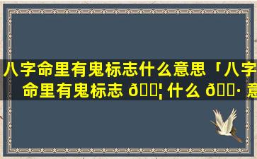 八字命里有鬼标志什么意思「八字命里有鬼标志 🐦 什么 🕷 意思啊」